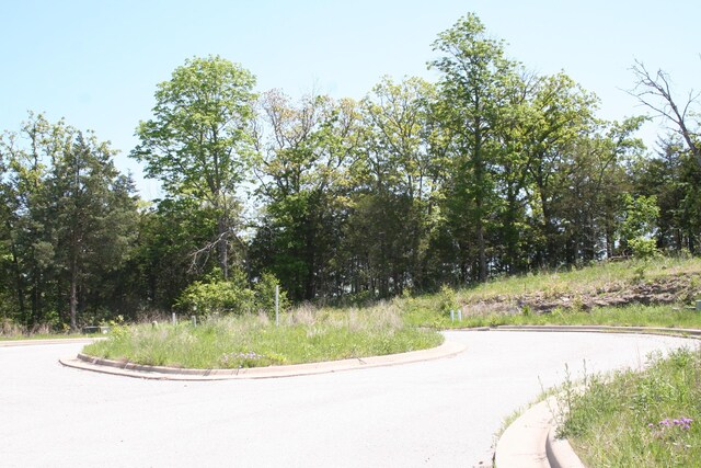 146 Deauville Cir, Branson, MO 65616 - photo 3