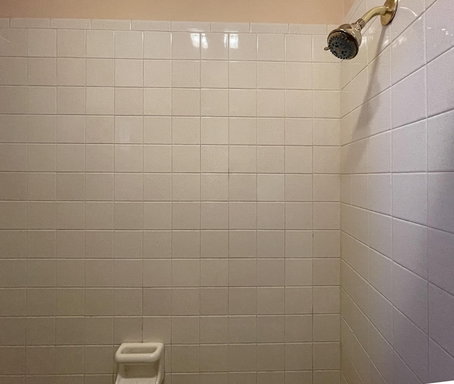 bathroom view of a shower