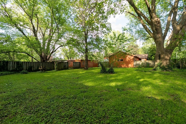 view of yard