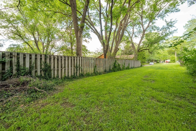 view of yard