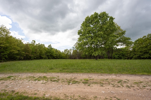 view of tree filled area