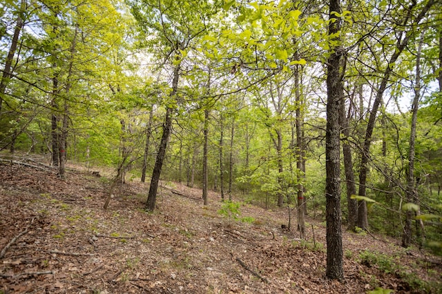 view of wooded area