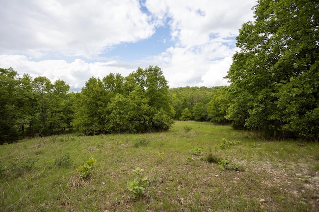 view of woods