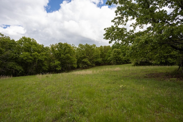 view of tree filled area