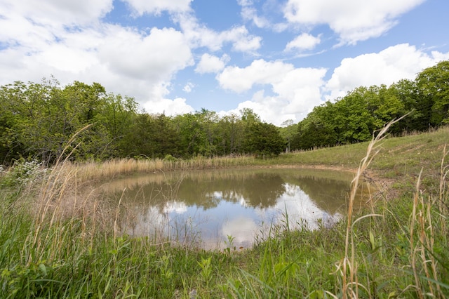 water view with a forest