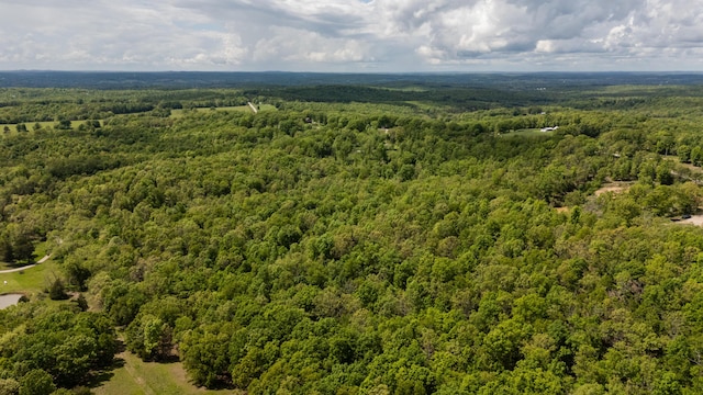 drone / aerial view of a forest