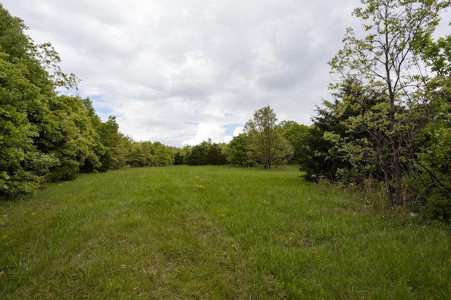view of wooded area