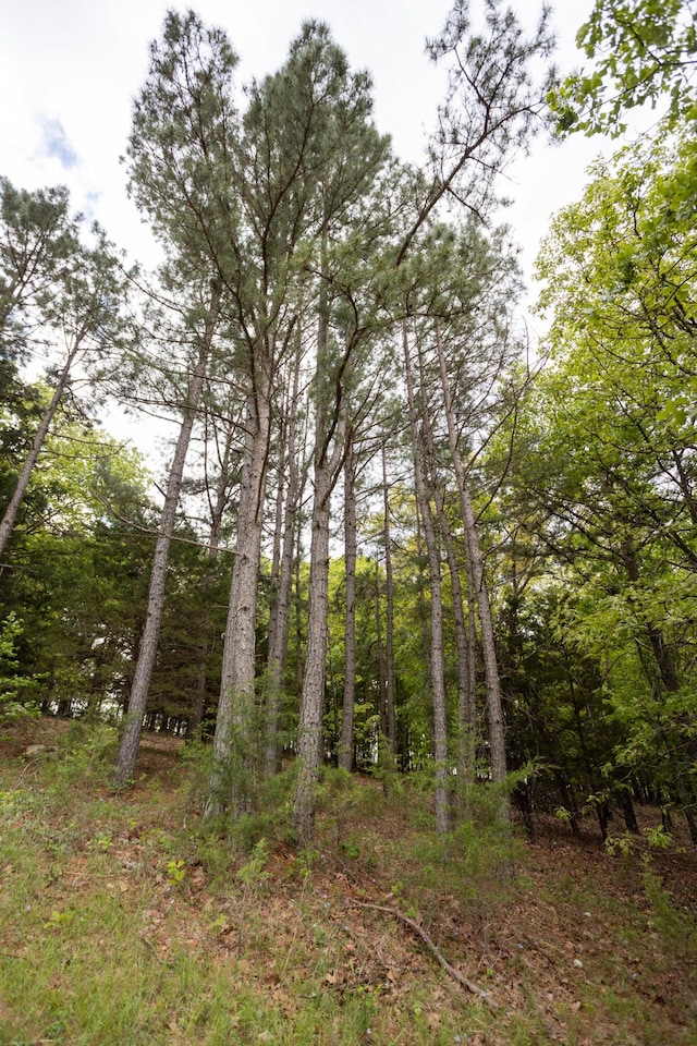 view of local wilderness