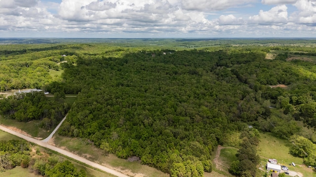 bird's eye view of a forest