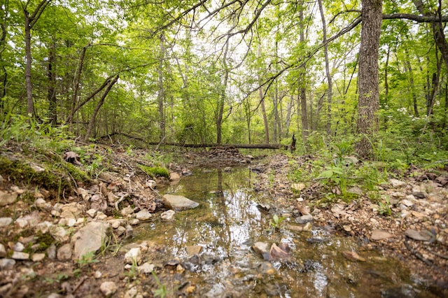 view of tree filled area