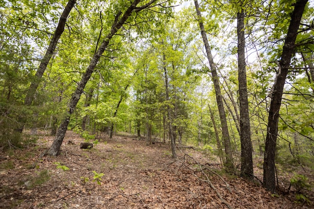 view of wooded area
