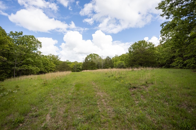 view of wooded area
