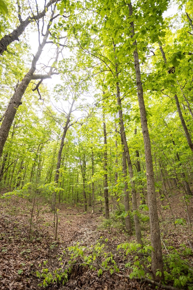 view of tree filled area