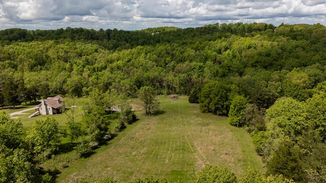drone / aerial view of a forest