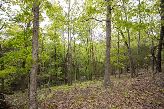 view of tree filled area