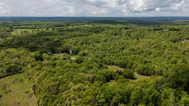 aerial view of a forest