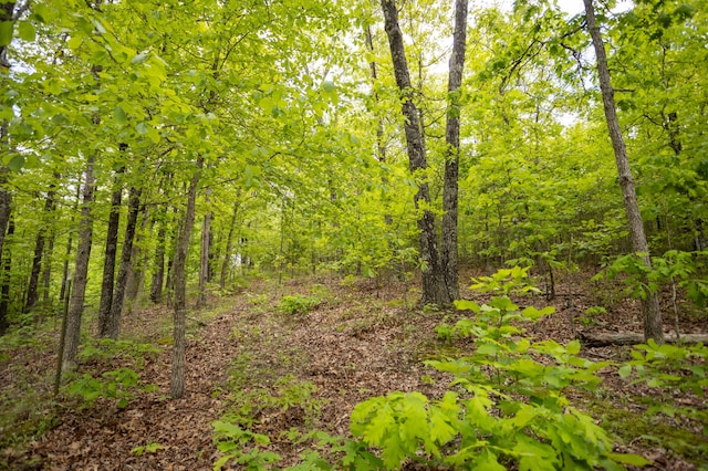 view of wooded area