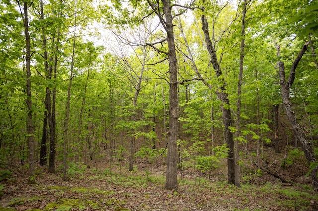 view of tree filled area