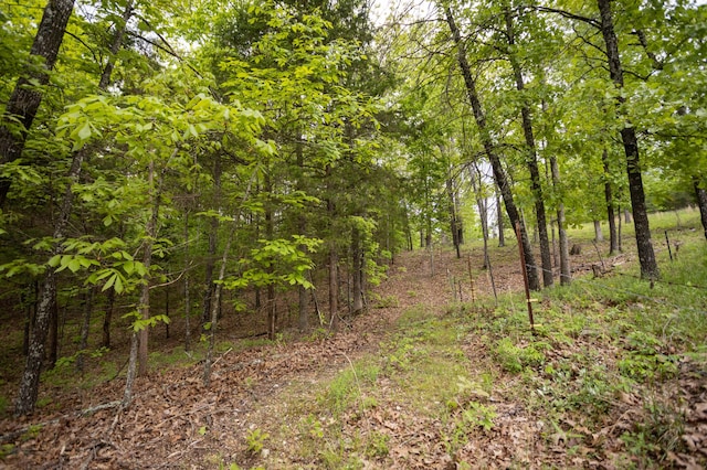 view of wooded area