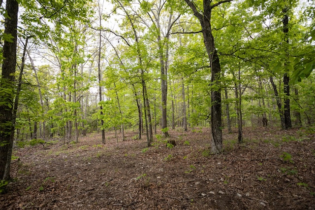 view of tree filled area