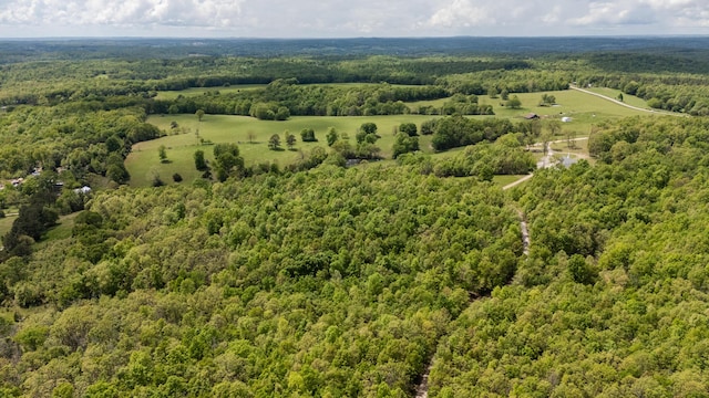 bird's eye view of a forest