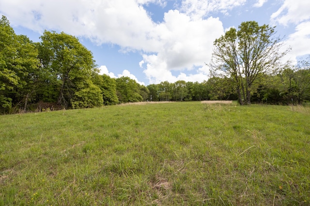 view of woods