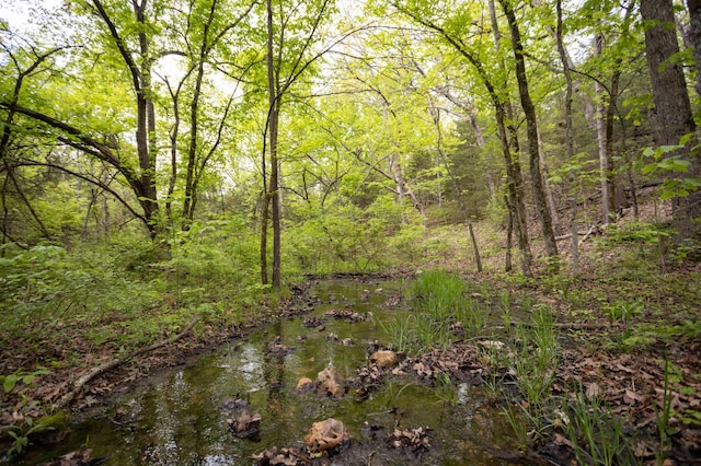 view of wooded area
