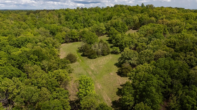 bird's eye view of a forest