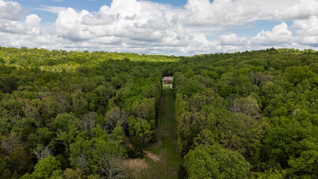bird's eye view of a forest