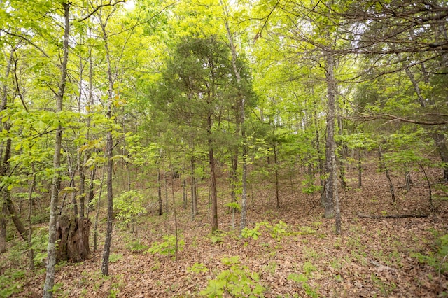 view of wooded area