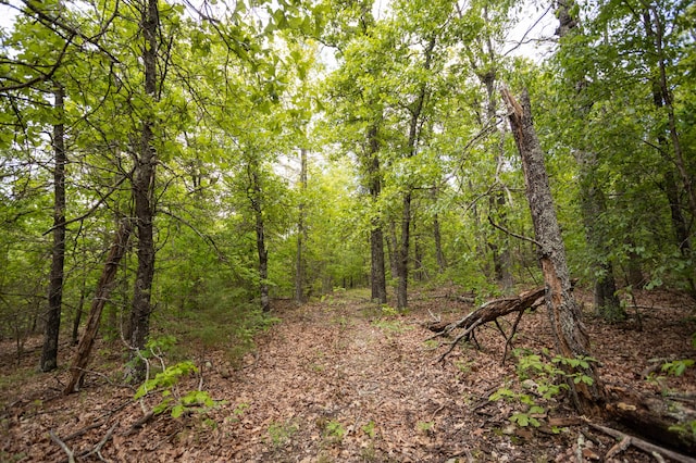 view of wooded area