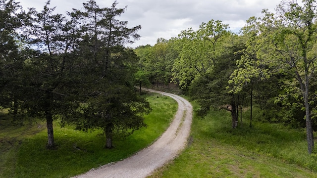 view of dirt / gravel road with a forest view