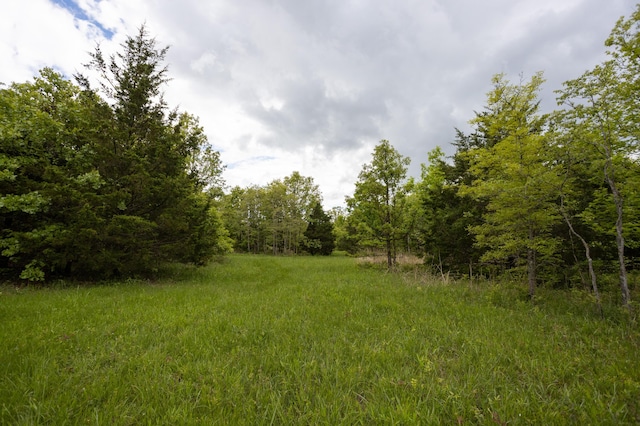 view of tree filled area