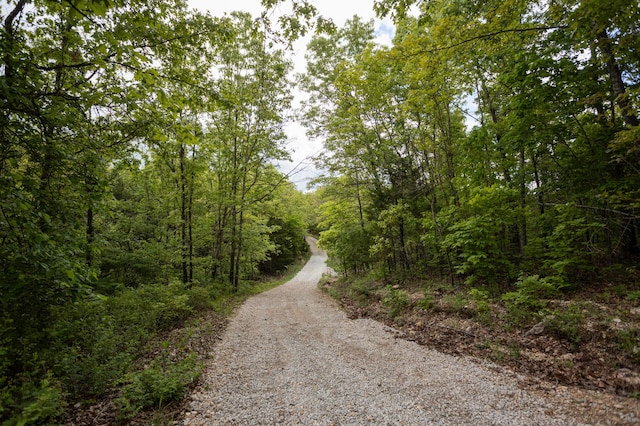 view of dirt / gravel road with a wooded view
