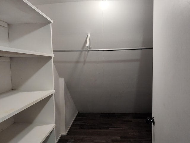 4181 S 105th Rd, Bolivar, MO 65613 - walk in closet with dark wood finished floors