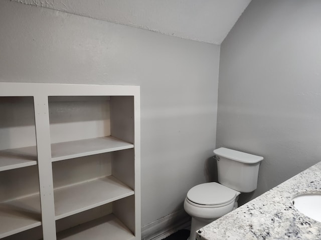 4181 S 105th Rd, Bolivar, MO 65613 - bathroom featuring toilet, vanity, and lofted ceiling