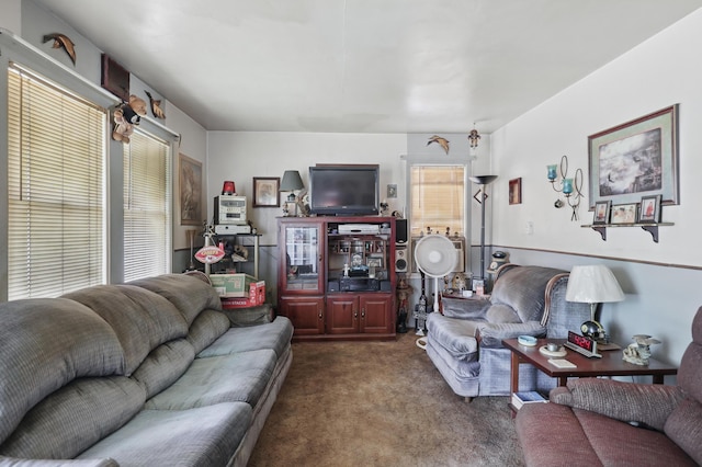 1014 Sycamore, Carthage, MO 64836 - living room with carpet floors