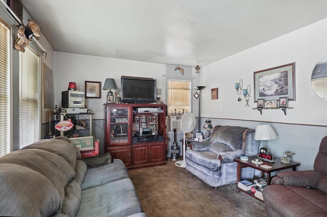 1014 Sycamore, Carthage, MO 64836 - living room featuring dark carpet and plenty of natural light