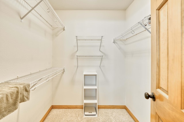 spacious closet with light carpet