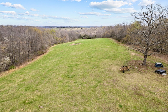 4357 Glover Dr, Norwood, MO 65717
