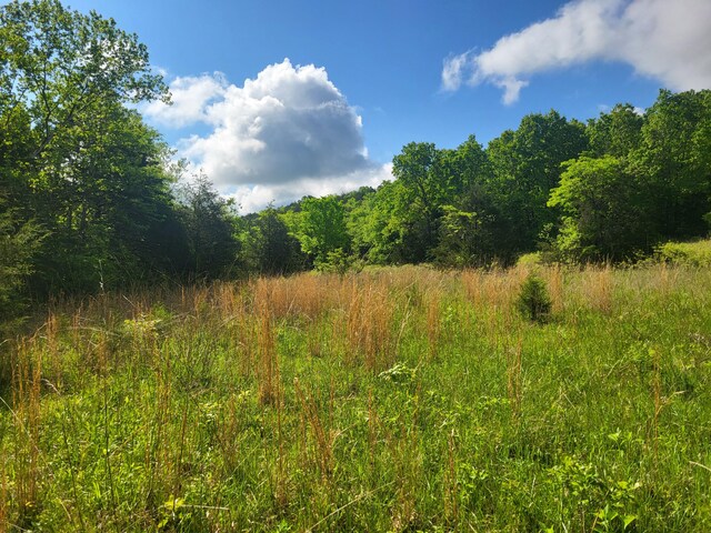 000 County Road 511, Gainesville, MO 65655 - photo 4