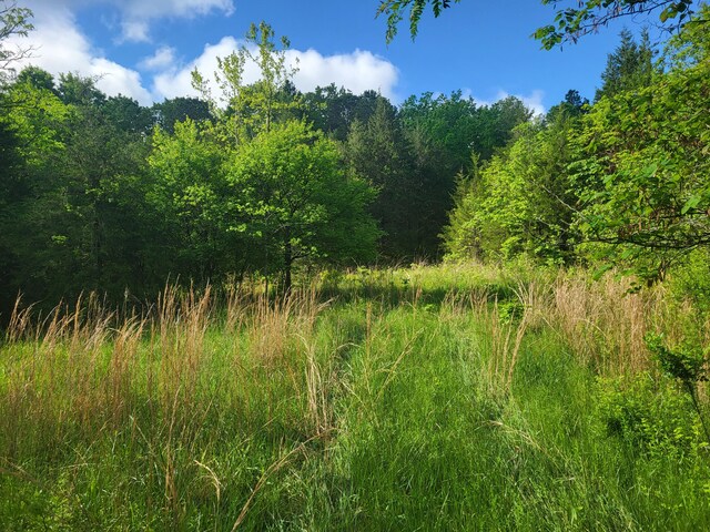 000 County Road 511, Gainesville, MO 65655 - photo 9