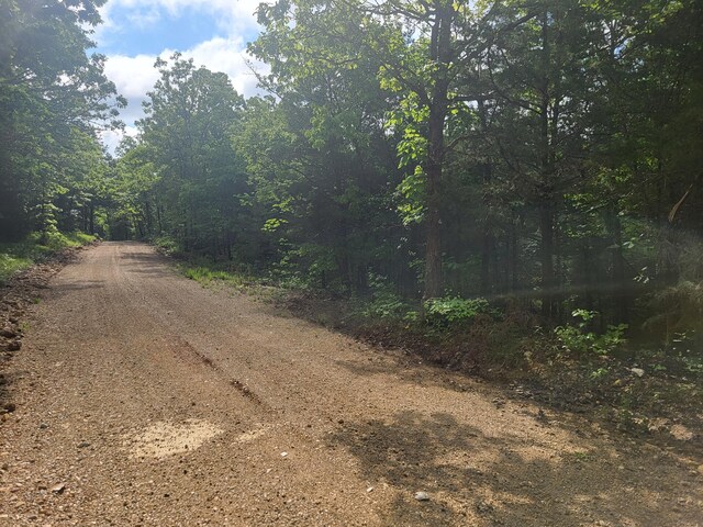 000 County Road 511, Gainesville, MO 65655 - photo 11