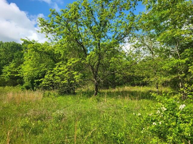 000 County Road 511, Gainesville, MO 65655 - photo 5