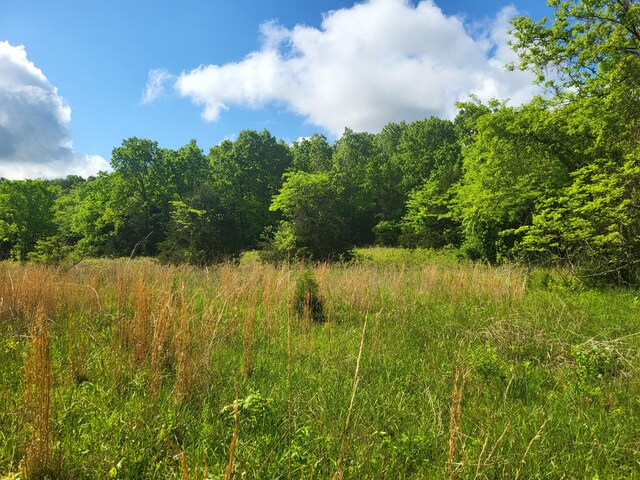 000 County Road 511, Gainesville, MO 65655 - photo 6