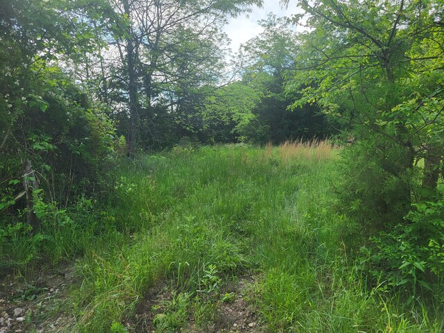 000 County Road 511, Gainesville, MO 65655 - photo 10