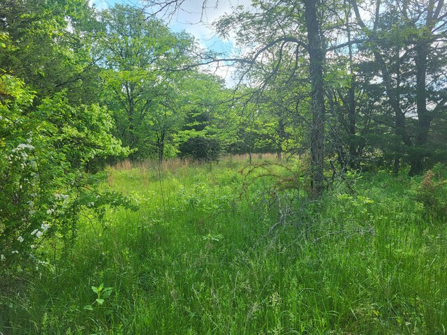 000 County Road 511, Gainesville, MO 65655 - photo 7