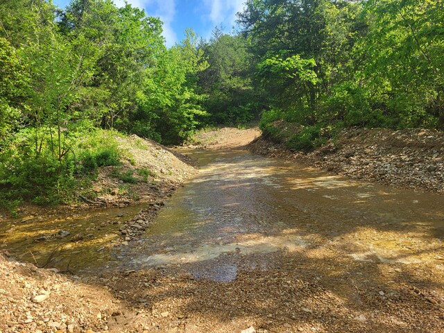 000 County Road 511, Gainesville, MO 65655 - photo 3