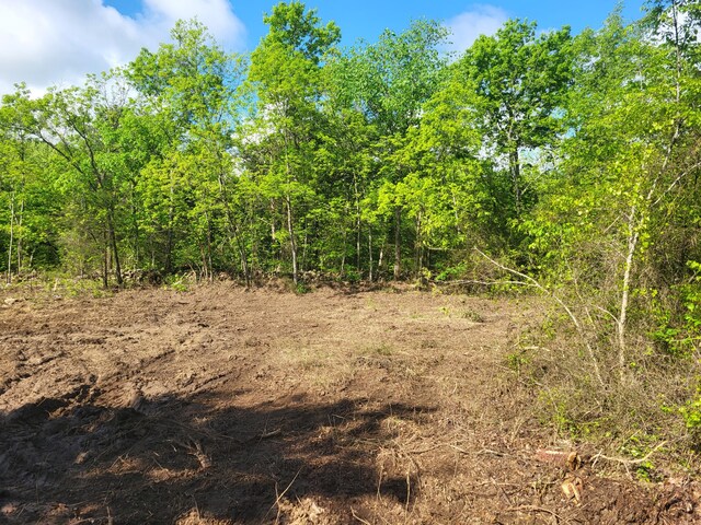 000 County Road 511, Gainesville, MO 65655 - photo 13