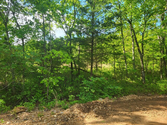 000 County Road 511, Gainesville, MO 65655 - photo 8